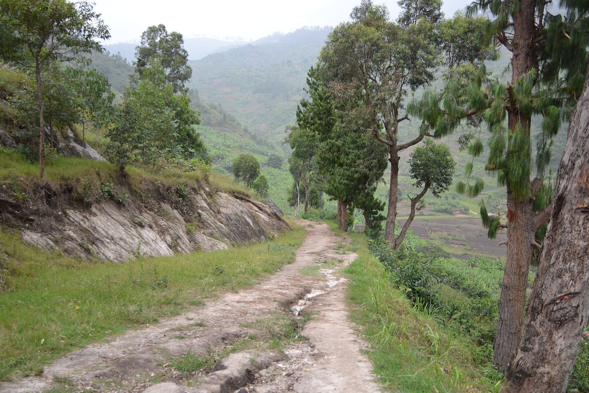 A footpath runs along the wooded and cultivated hills of the Congo Nile Trail.